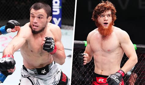 UFC Fight Night - кард участников, дата проведения турниров ЮФС Файт ...