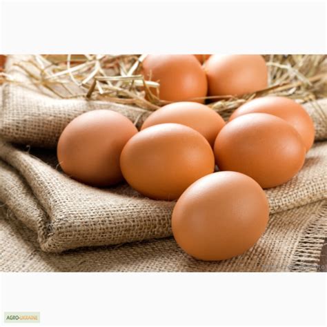 Продам Яйцо, купить яйцо, Харьковская обл — Agro-Ukraine