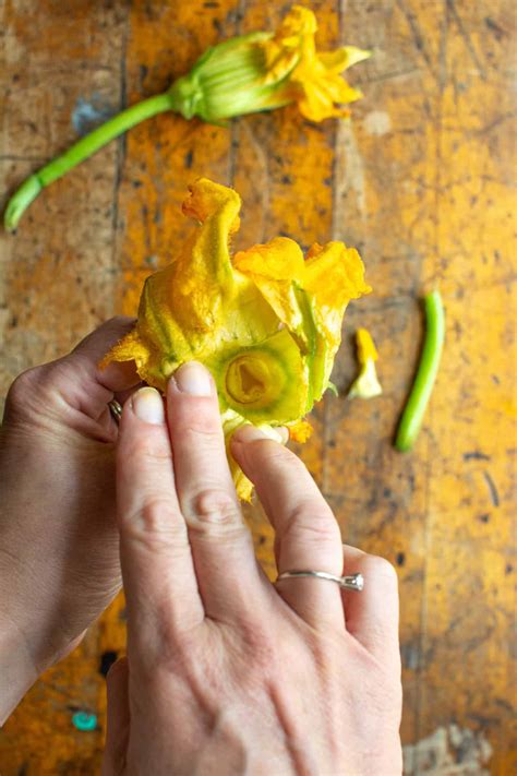 What To Do With Squash Blossoms + An Easy Quesadilla - ¡HOLA! JALAPEÑO