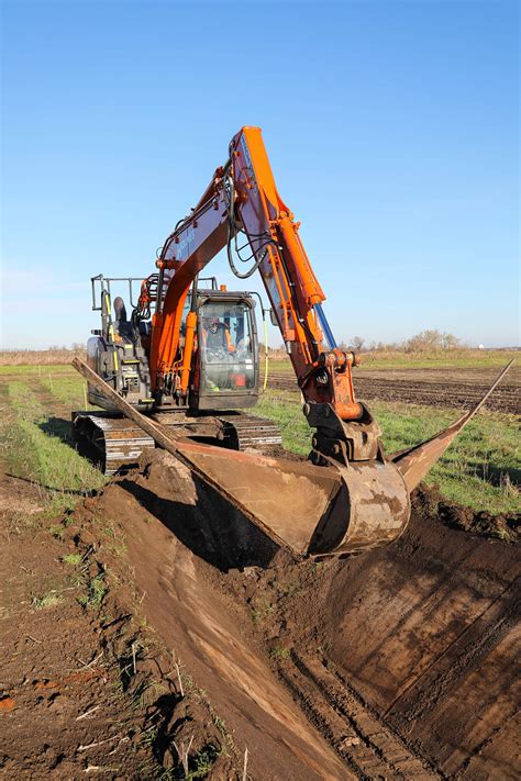 Conservation Project @ RSPB Lakenheath Fen Nature Reserve