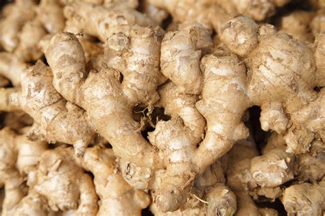 ginger root vegetables group close  wallpaper wallpaperscom