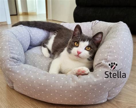 STELLA