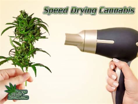 how to dry weed with hair dryer