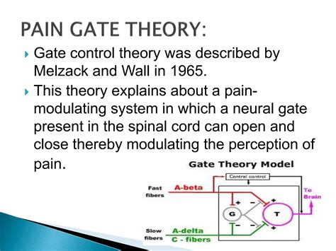 pain and pain gate theory.pptx