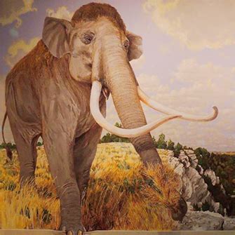 Exhibits | Mayborn Museum | Baylor University