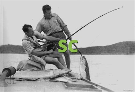 SC Meaning » Slang.org