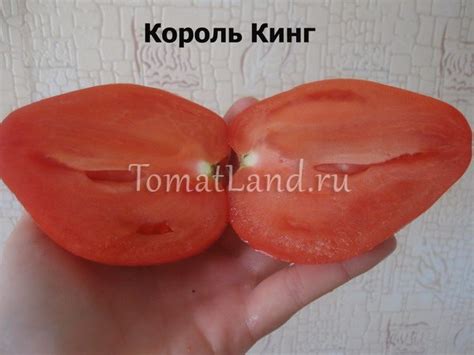 Томат Король Кинг: описание сорта, отзывы, фото