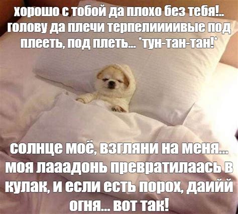 Мем: "хорошо с тобой да плохо без тебя!.. голову да плечи терпелиииивые ...
