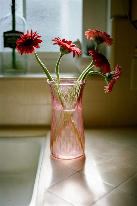 Portra 160 F3-000211440032-Edit - The Darkroom Photo Lab