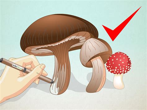 5 Simple Strokes To Bring Magical Mushrooms To Life