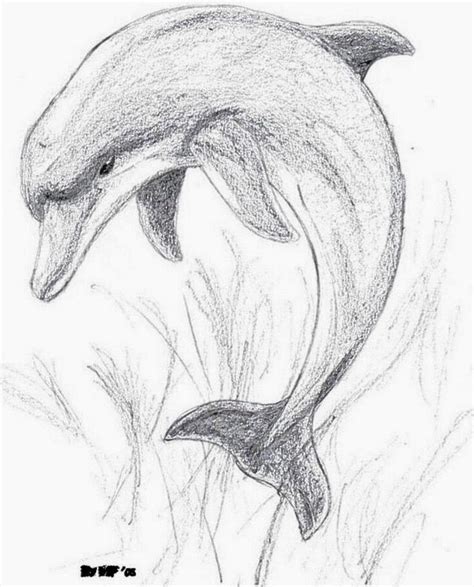 Delfin | Рисунки, Дельфины, Художественная роспись