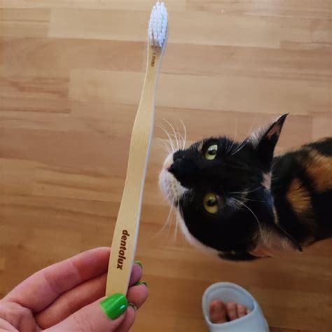 Dentalux Dentalux bamboo Reviews | abillion