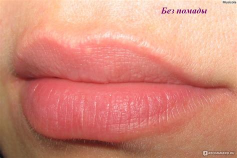 Губная помада L'Oreal Paris Color Riche - «Мои любимицы (тона 258, 256 ...