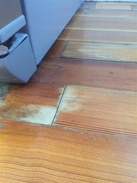 Leak From Fridge onto Wooden Floor.. what can I put there’s to soak