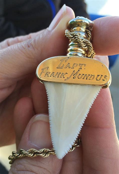 Real Great White Shark Tooth Necklace
