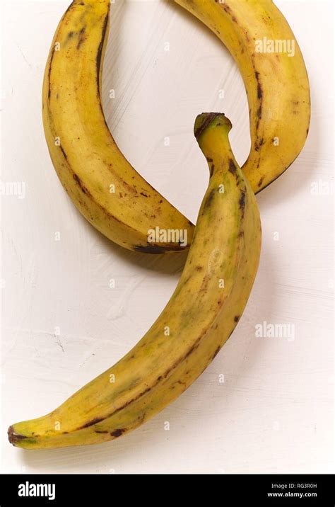 ripe plantain food  life photograph stock photo alamy