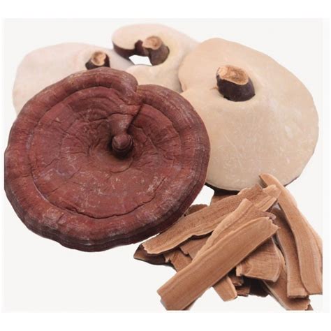 KOREAN LINGZHI MUSHROOM EXTRACT GOLD PLUS – Korean Red Ginseng Youngs Goods