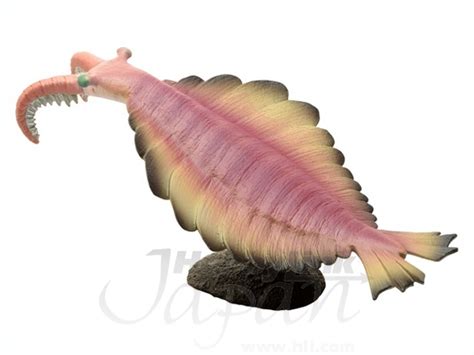 Anomalocaris Soft Model | HLJ.com