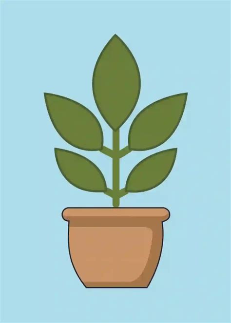 how to draw a potted plant