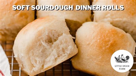 Soft Sourdough Dinner Rolls from Little Spoon Farm - YouTube