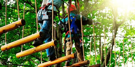 PARQUE DE AVENTURAS NATUPARK (BARCELONA): ENTRADAS CON DESCUENTO ...