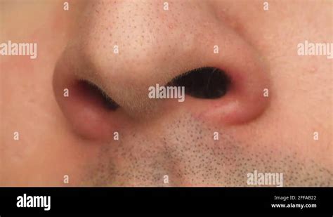 Nostrils Nose Male Body Part 4K UHD Stock Video Footage - Alamy