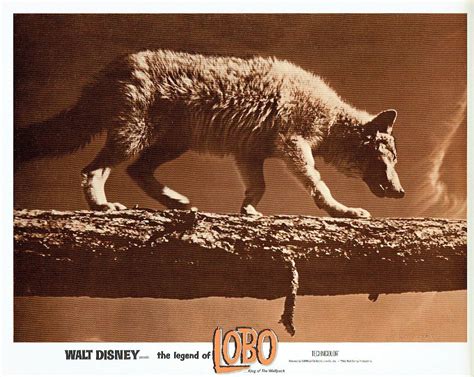 The Legend of Lobo (1962)