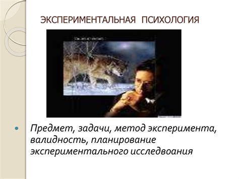 Экспериментальная психология - презентация онлайн