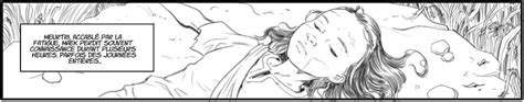La saga Alamänder aura sa BD - Nurthor Le Noir