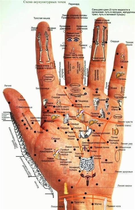 карта ладони | Hand reflexology, Acupressure treatment, Reflexology