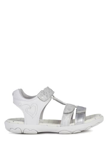 Geox Outlet Online Shop | Geox Schuhe | Geox günstig kaufen