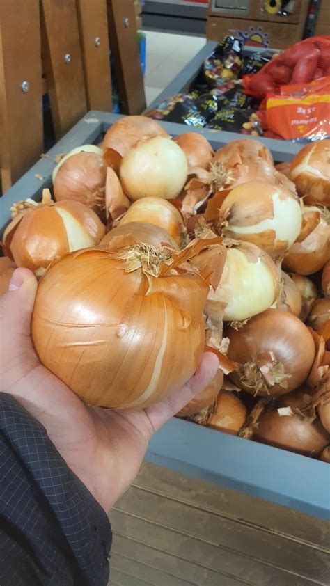 gigant onion : r/OnionLovers