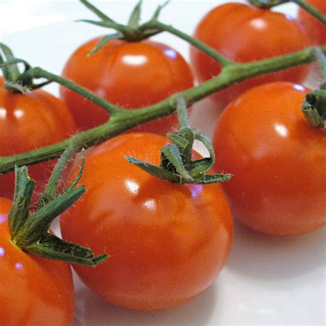 Cherry Tomato Seeds – USA SEED VILLAGE