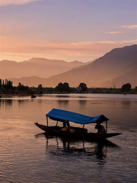 Shikara Boats on Dal Lake with Sunset Dal Lake in Srinagar Jammu and Kashmir Stock Photo - Image ...