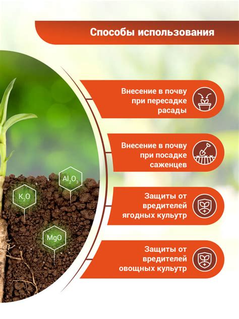 БИО-комплекс Диатомит Садовый 3л купить в Минске недорого