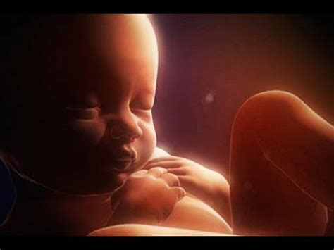 РУКОВОДСТВО для БЕРЕМЕННЫХ, ЧАСТЬ 2 от ЗАЧАТИЯ до РОДОВ, ЭНЦИКЛОПЕДИЯ ...