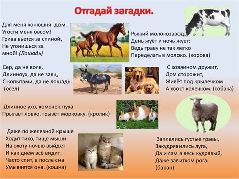 Какую пользу приносят домашние животные? - презентация онлайн