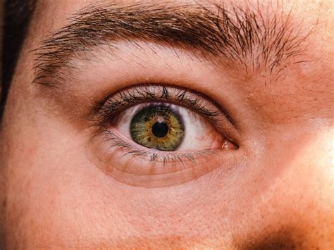 Premium Photo | Closeup of a human green eye
