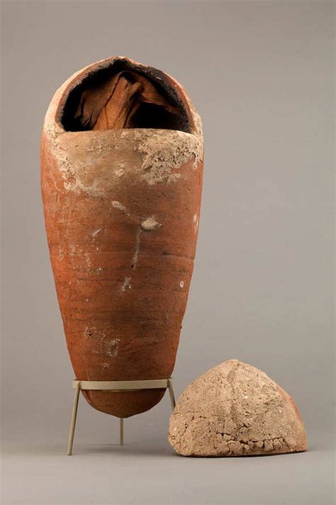 Mummified Animals: How Ancient Egypt Preserved Pets