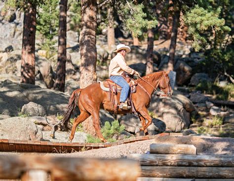 Taking Trail to the Extreme - Horse and Rider