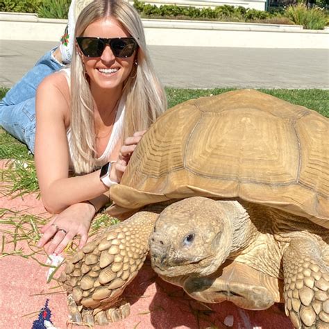 Video This is what it's like to have a tortoise as a pet - ABC News