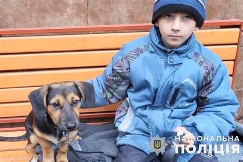 8-річний хлопчик з Бахмута, у якого росіяни вбили всіх рідних, знайшов ...