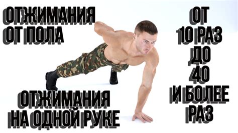 Отжимания от пола. Комплекс для начального уровня, курс, урок - YouTube