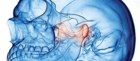 interpreting occlusion