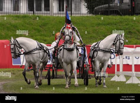 Russian troika hi-res stock photography and images - Alamy