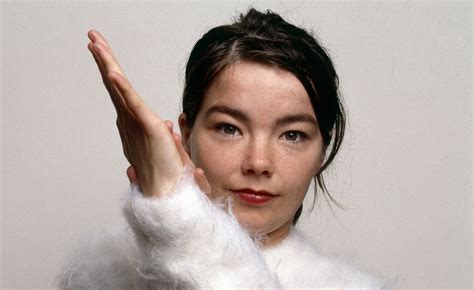 bjork setlist  daria emelina