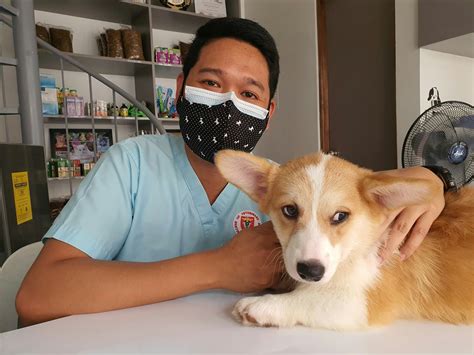 How can UK veterinary oncologists improve the outcomes of chemotherapy
