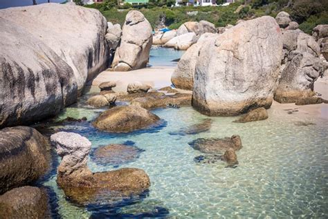 Boulders Beach Cape Town - Secret Cape Town