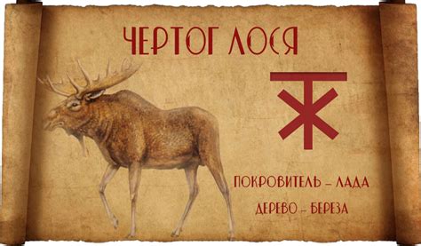 Чертог Лося: значение, обереги, покровитель и священное дерево