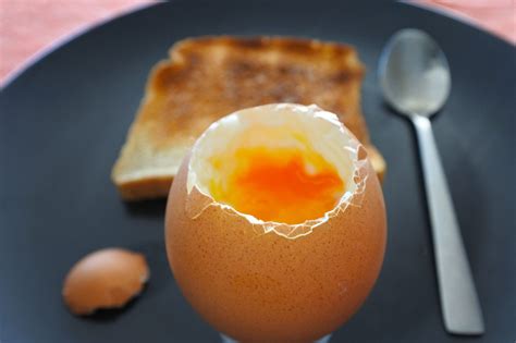 UK egg consumption to smash through 200 eggs a year barrier - Poultry World